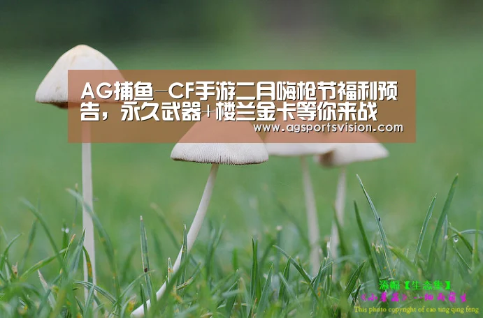 AG捕鱼-CF手游二月嗨枪节福利预告,永久武器+楼兰金卡等你来战(图1) AG体育